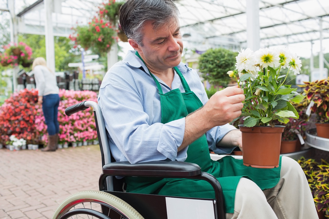 A man in a wheelchair working at a garden centre